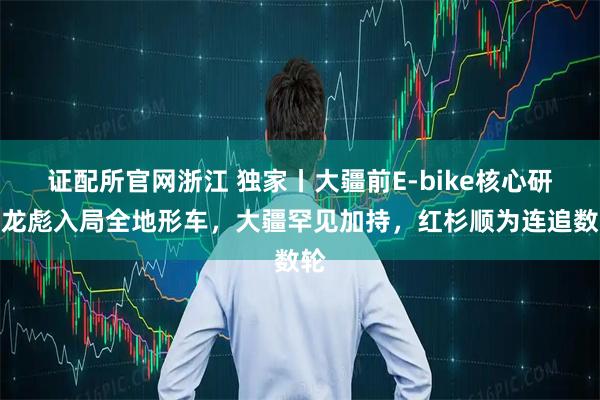 证配所官网浙江 独家丨大疆前E-bike核心研发龙彪入局全地形车，大疆罕见加持，红杉顺为连追数轮